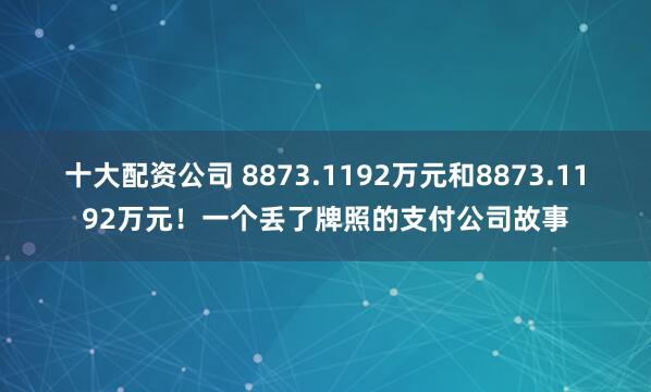 十大配资公司 8873.1192万元和8873.1192万元！一个丢了牌照的支付公司故事