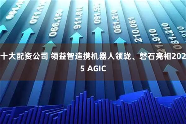 十大配资公司 领益智造携机器人领珑、磐石亮相2025 AGIC
