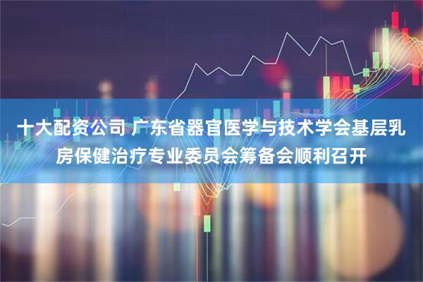 十大配资公司 广东省器官医学与技术学会基层乳房保健治疗专业委员会筹备会顺利召开