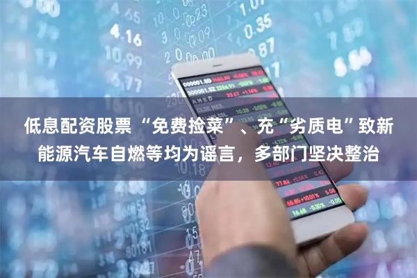 低息配资股票 “免费捡菜”、充“劣质电”致新能源汽车自燃等均为谣言，多部门坚决整治