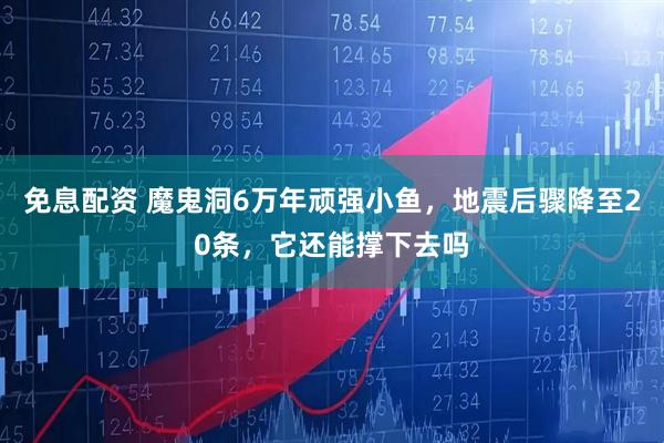 免息配资 魔鬼洞6万年顽强小鱼，地震后骤降至20条，它还能撑下去吗