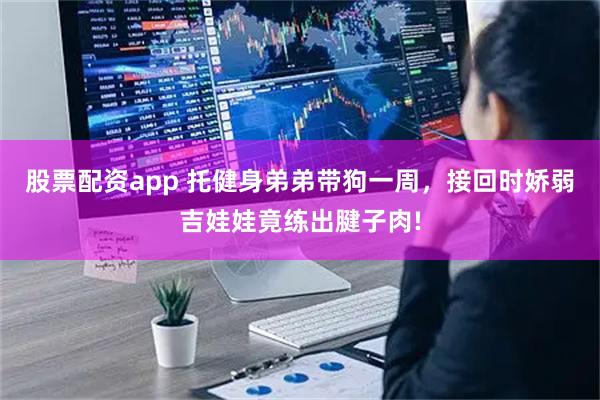 股票配资app 托健身弟弟带狗一周，接回时娇弱吉娃娃竟练出腱子肉!