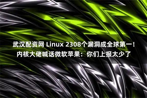 武汉配资网 Linux 2308个漏洞成全球第一！内核大佬喊话微软苹果：你们上报太少了